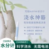 sustee Flower Hydration Meter Soil Moisture Sensor Plant Watering Tool Dry/Wet Detector